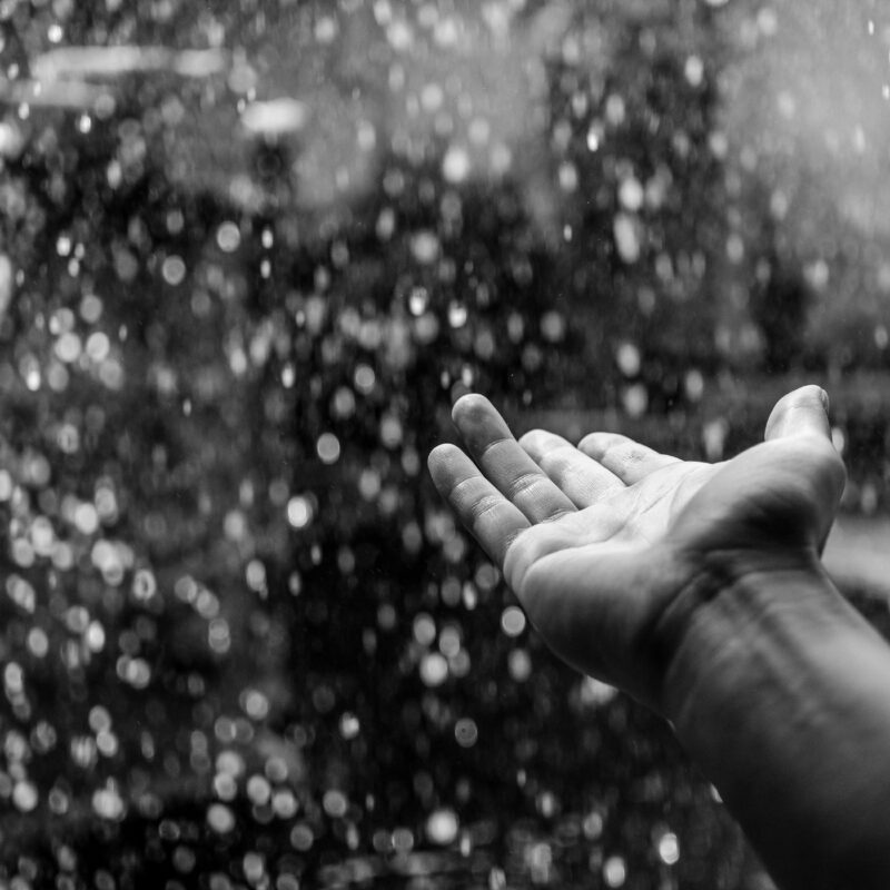 Image for episode 82, Pleasure & Grief - a hand reaching out into the rain